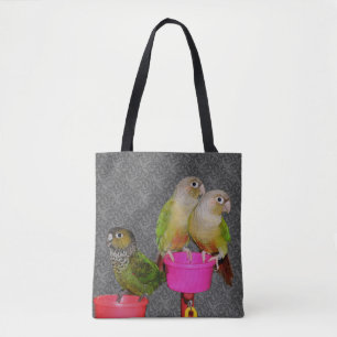 Baby Conure Papegojor Djur  Tygkasse