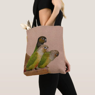 Baby Conure Parrots Bird Tygkasse