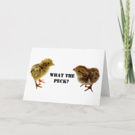 Baby Coturnix och Bobwhite Vaktelkycklingar Kort