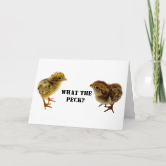 Baby Coturnix och Bobwhite Vaktelkycklingar Kort