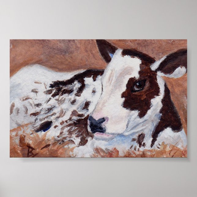 Baby Cow aceo Poster (Framsidan)