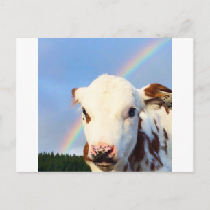 Baby Cow Vykort
