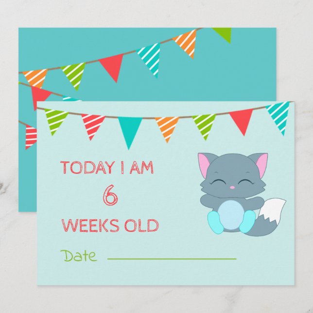 Baby Cute Milestone Month Colorful Kitten Inbjudningar (Fram/baksida)