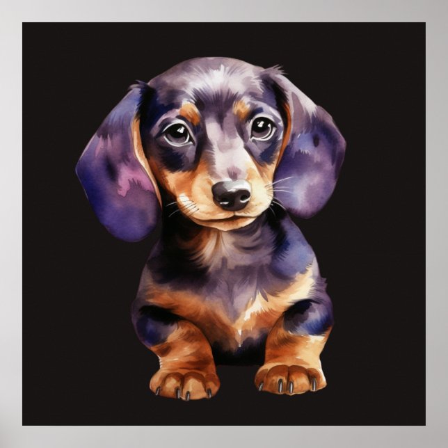 Baby Dachshund Poster (Framsidan)