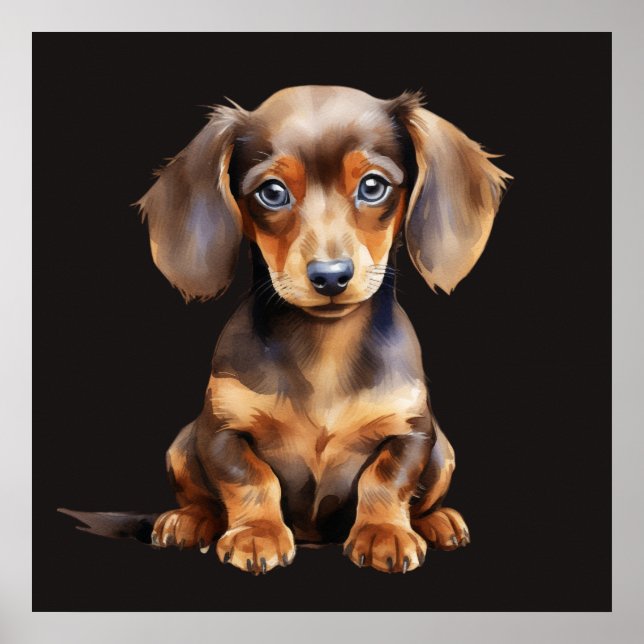 Baby Dachshund Poster (Framsidan)