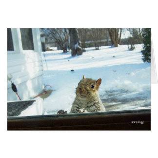 Baby Det är Kallet utanför Hälsningskort