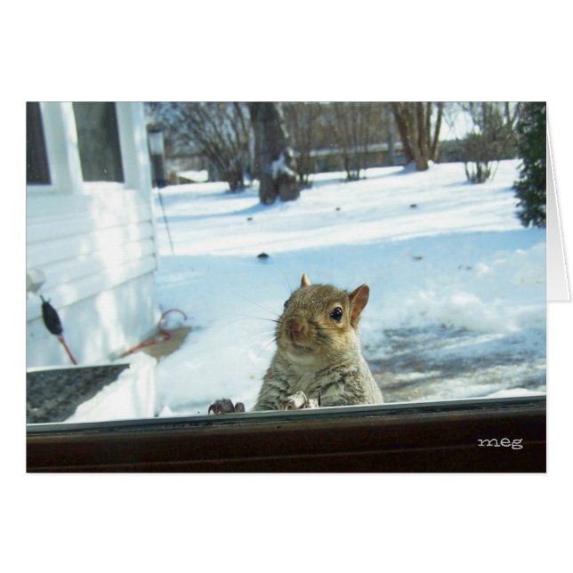 Baby Det är Kallet utanför Hälsningskort (Framsidan Horizontal)