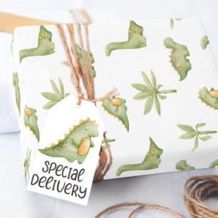 Baby Dinosaur Presentpapper