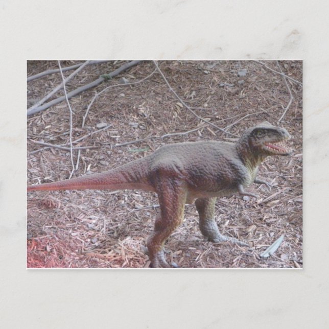 baby dinosaur vykort (Framsida)