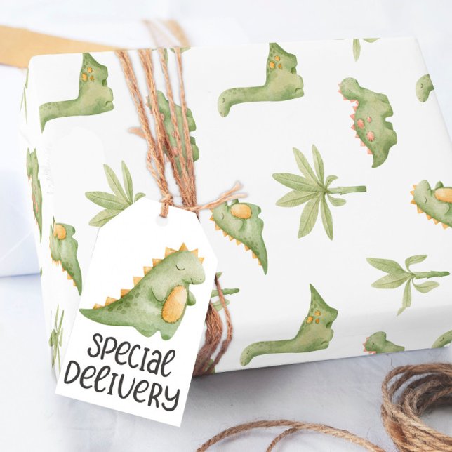 Baby Dinosaur Wrapping Papper Presentpapper (Skapare uppladdad)