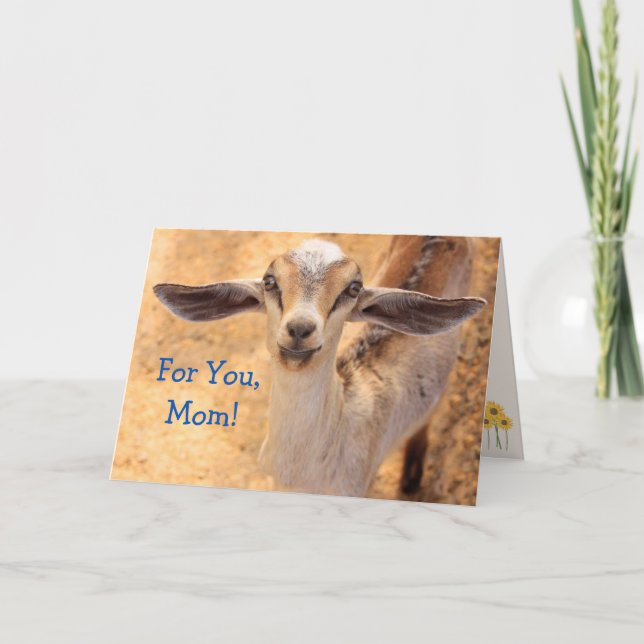 Baby djur Goat Mors dag Kort (Framsida)