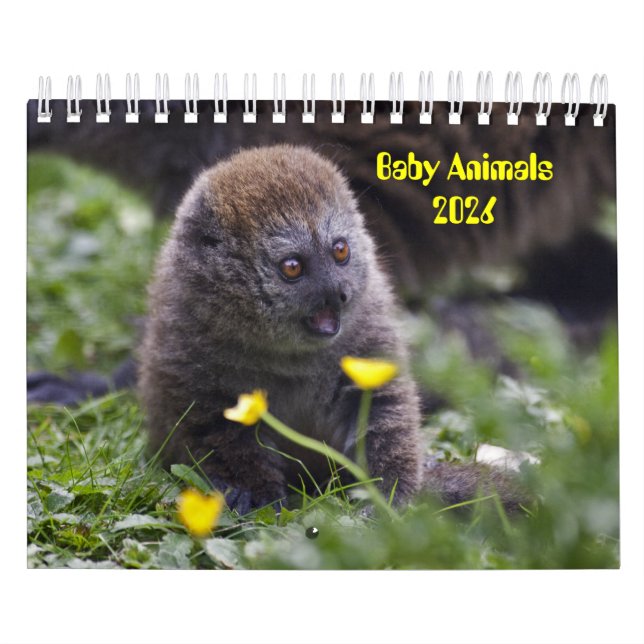Baby djur Kalender (Omslag)