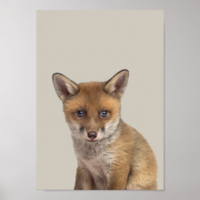 Baby djur Nursery Poster - Fox (Framsidan)