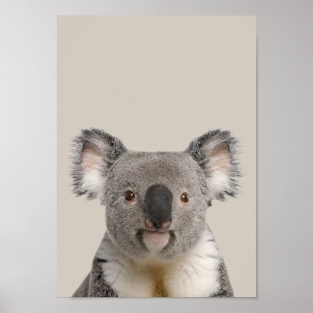 Baby djur Nursery Poster - Koala (Framsidan)