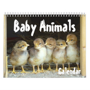 Baby djurkalender kalender