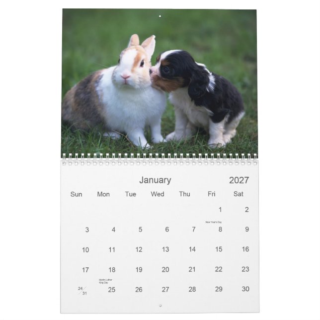 Baby djurkalender kalender (Jan 2027)