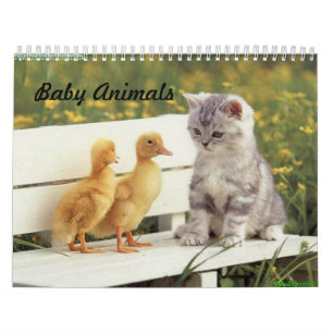 Baby djurkalender kalender