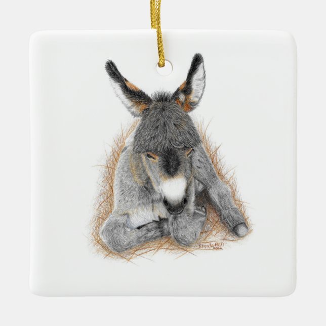 Baby Donkey Square Ornament (Framsida)