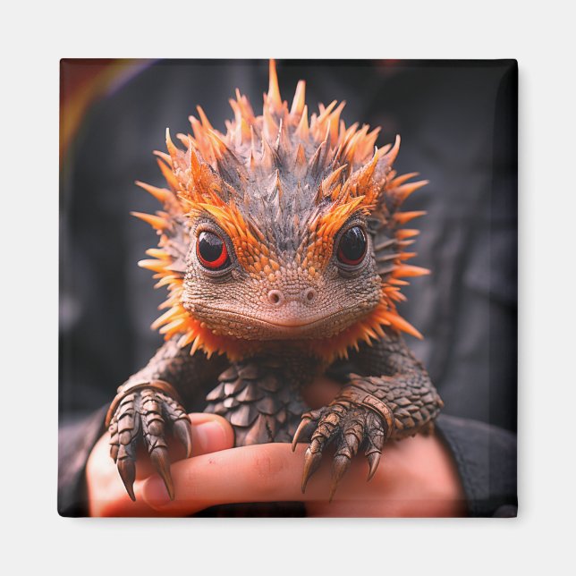 Baby Dragon Magnet (Framsidan)