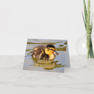 Baby Duckling i Pond Grattis på födelsedagen Kort