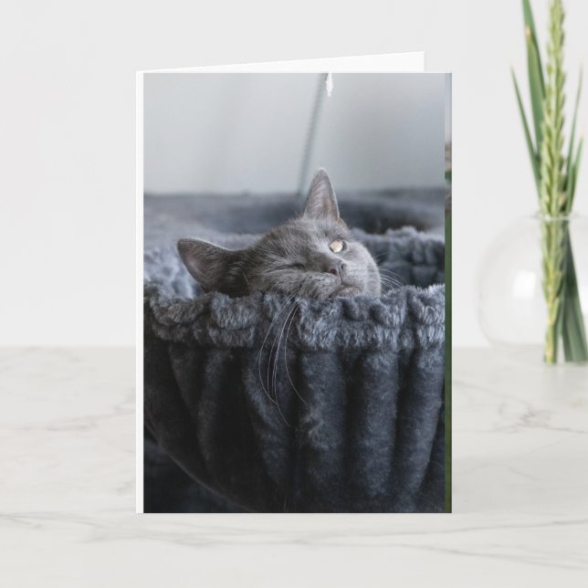 Baby El Kort (Framsida)