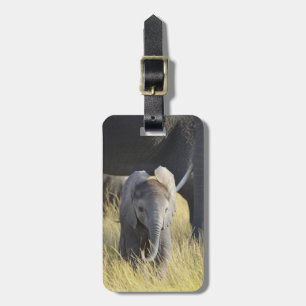 Baby Elefant Bagagebricka