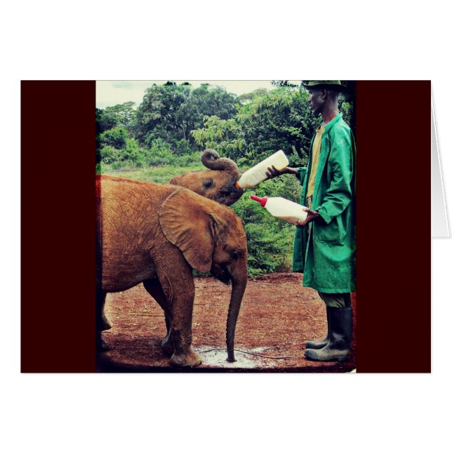 Baby elefanter - Matande tid Hälsningskort (Framsidan Horizontal)