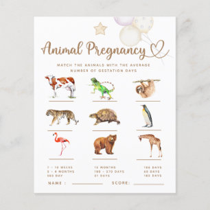 Baby Elephant Baby Shower Gravid på djur