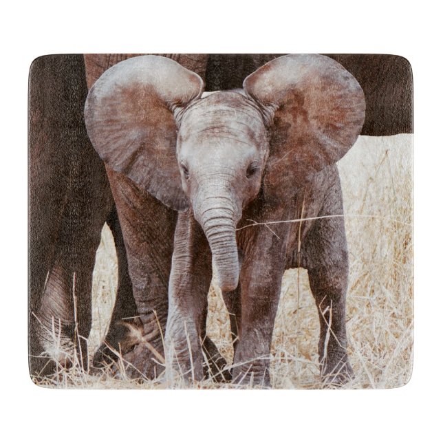 Baby Elephant Cute African Elephant med Mamma (Framsidan)
