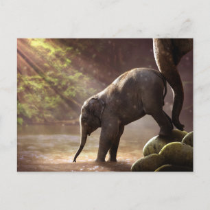 Baby Elephant Drinking Vatten Photo Vykort