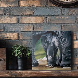 Baby Elephant Grått Cute Kakelplatta