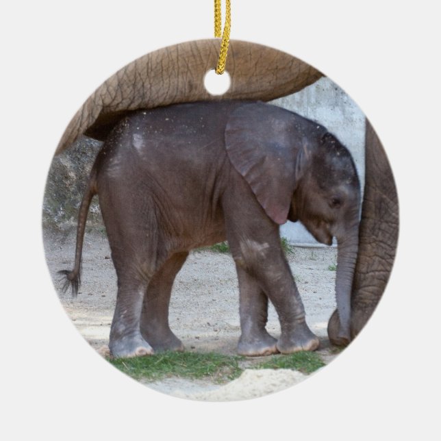 Baby Elephant Julgransprydnad Keramik (Framsidan)