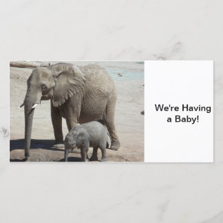Baby Elephant med Mamma Meddelande