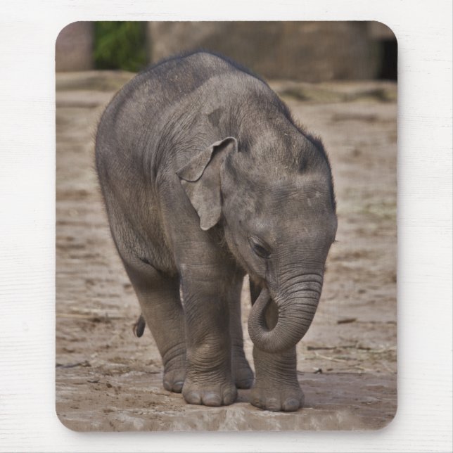 Baby Elephant Mousemat Musmatta (Framsidan)