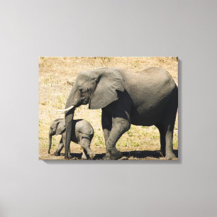 Baby Elephant och Mor Canvastryck
