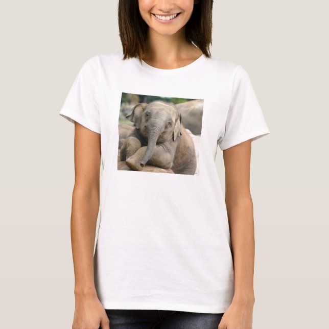 Baby elephant tee (Framsida)