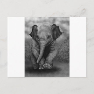 Baby Elephant Vykort