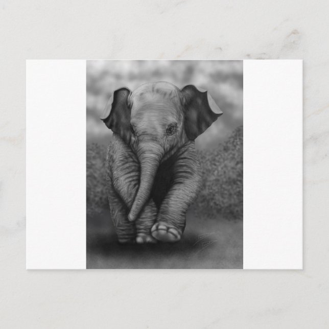Baby Elephant Vykort (Framsida)