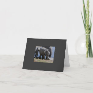 Baby Elephant Walk Kort
