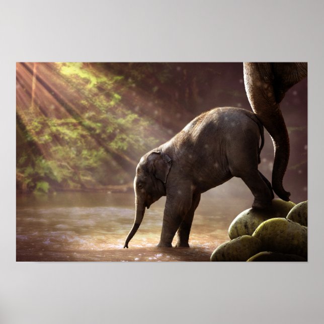 Baby Elephant's First Bath Poster (Framsidan)