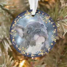 Baby eller Pets First Hanukkah Keepsakus Photo