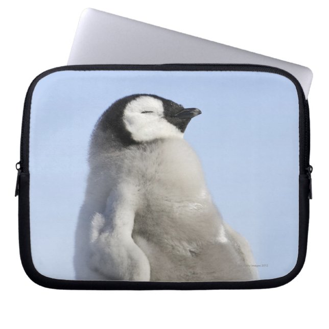 Baby Emperor Penguin, ön Snö Backe Laptop Fodral (Framsidan)