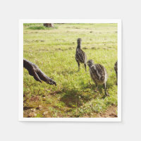 Baby Emu-Kycklingar Och Stor Fot,