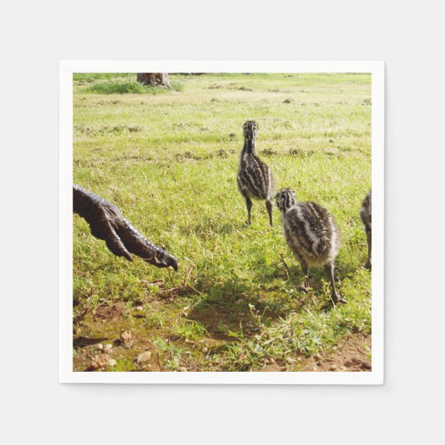 Baby Emu-Kycklingar Och Stor Fot,  Pappersservett (Framsidan)