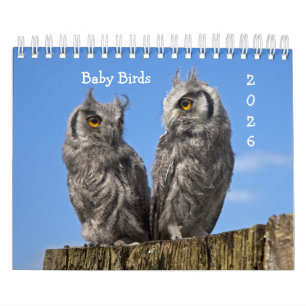 Baby-fågelkalender Kalender