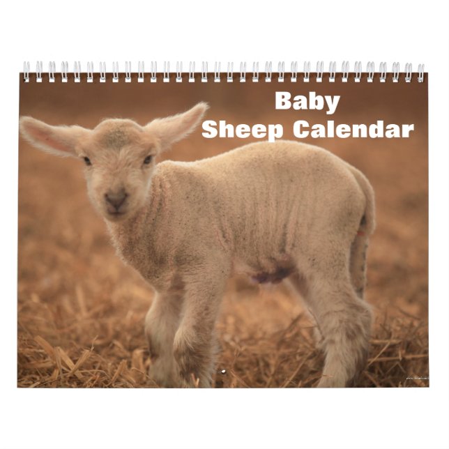 Baby får Lamb 2022 Kalender (Omslag)
