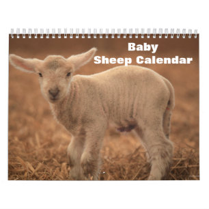 Baby får Lamb 2022 Kalender