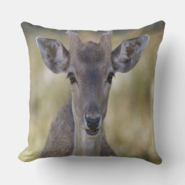 Baby Fawn Buck Kudde