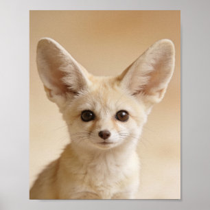 Baby Fennec Fox Porträtt – Sött Nursery Djur Poster