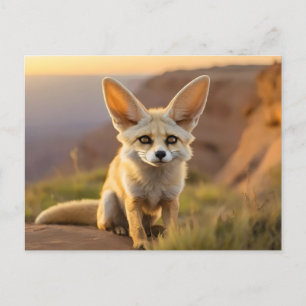 Baby Fennec-räv vid klippning Vykort